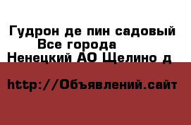 Гудрон де пин садовый - Все города  »    . Ненецкий АО,Щелино д.